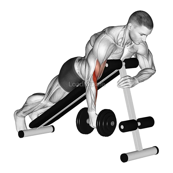 Dumbbell One Arm Prone Hammer Curl demonstration