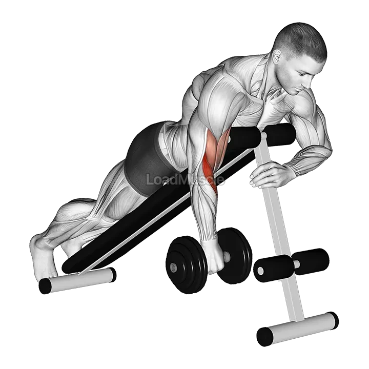 Dumbbell One Arm Reverse Spider Curl demonstration