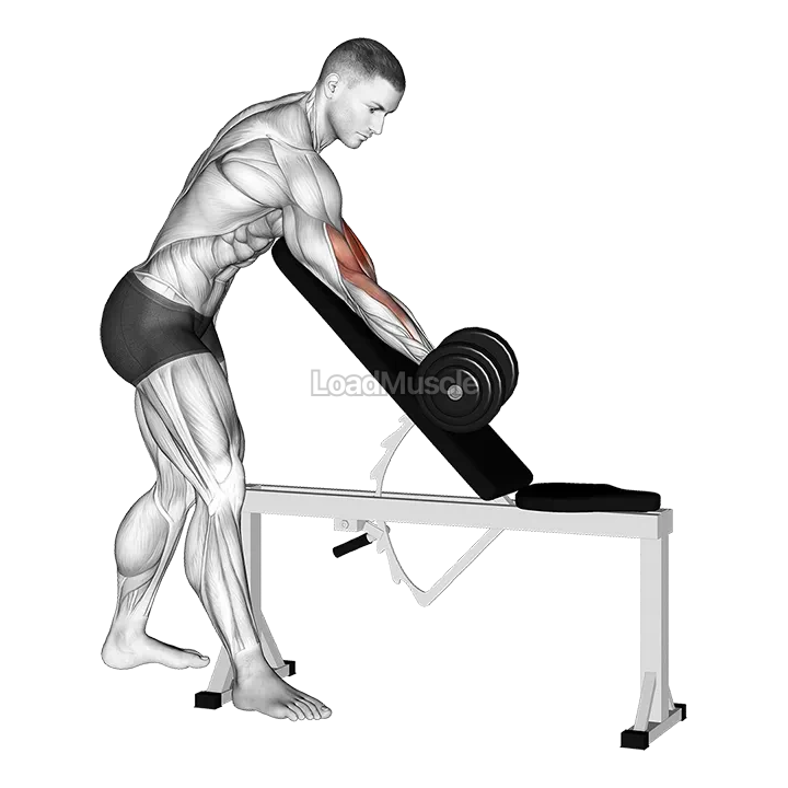 Dumbbell One Arm Zottman Preacher Curl demonstration