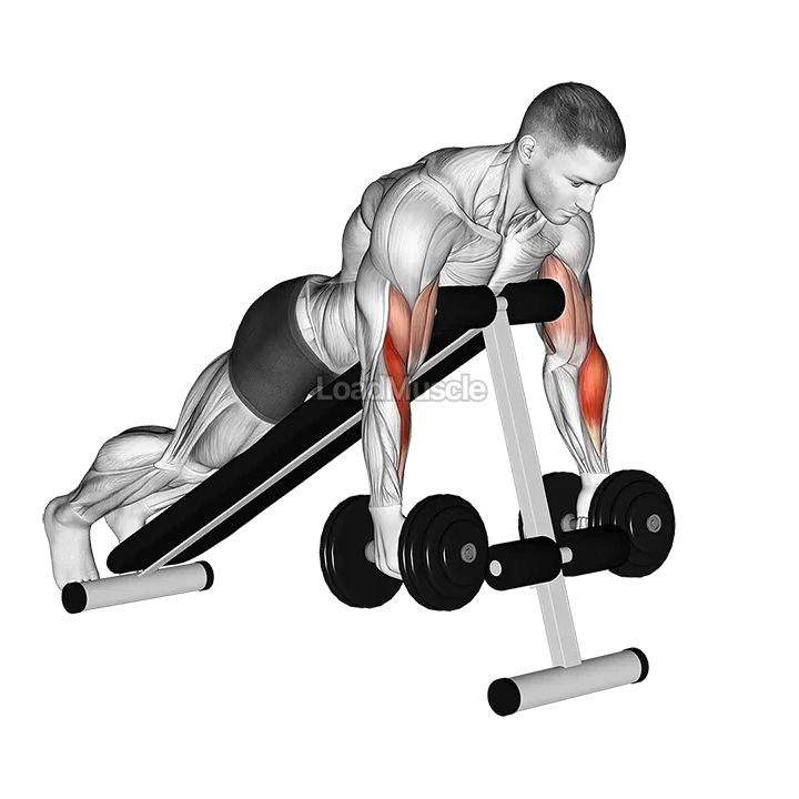 Dumbbell Prone Incline Hammer Curl demonstration