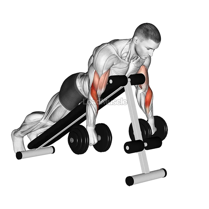 Dumbbell Reverse Spider Curl demonstration