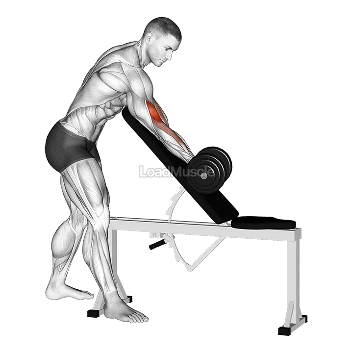 Dumbbell Standing One Arm Curl Over Incline Bench demonstration