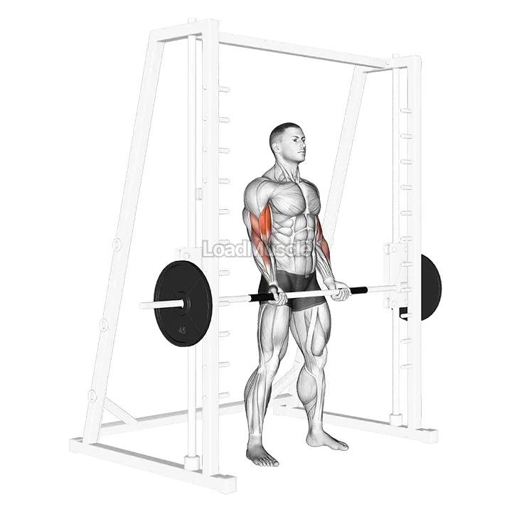 Smith Machine Bicep Curl demonstration