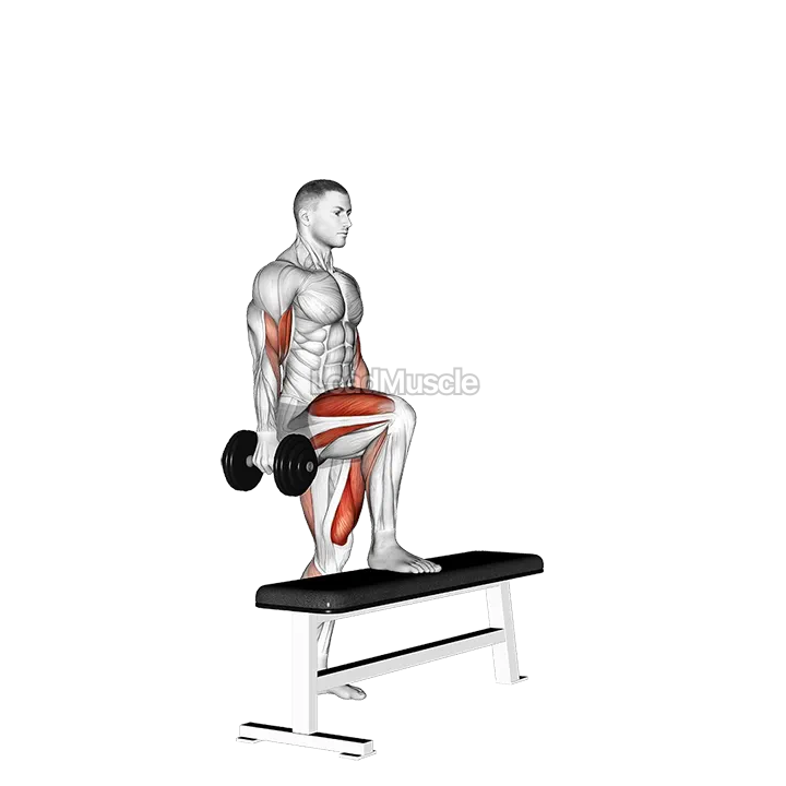 Dumbbell Step Up Single Leg Balance with Bicep Curl demonstration