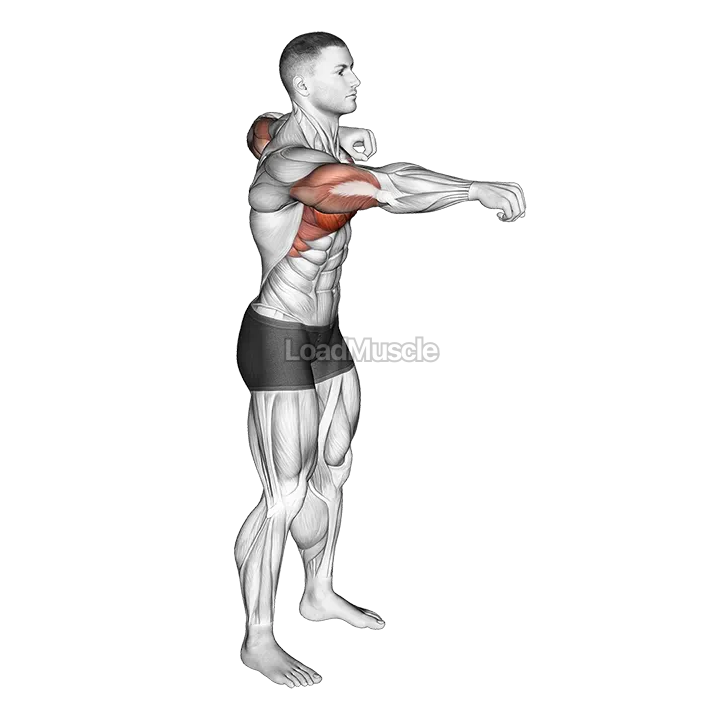 Push and Pull Bodyweight demonstration