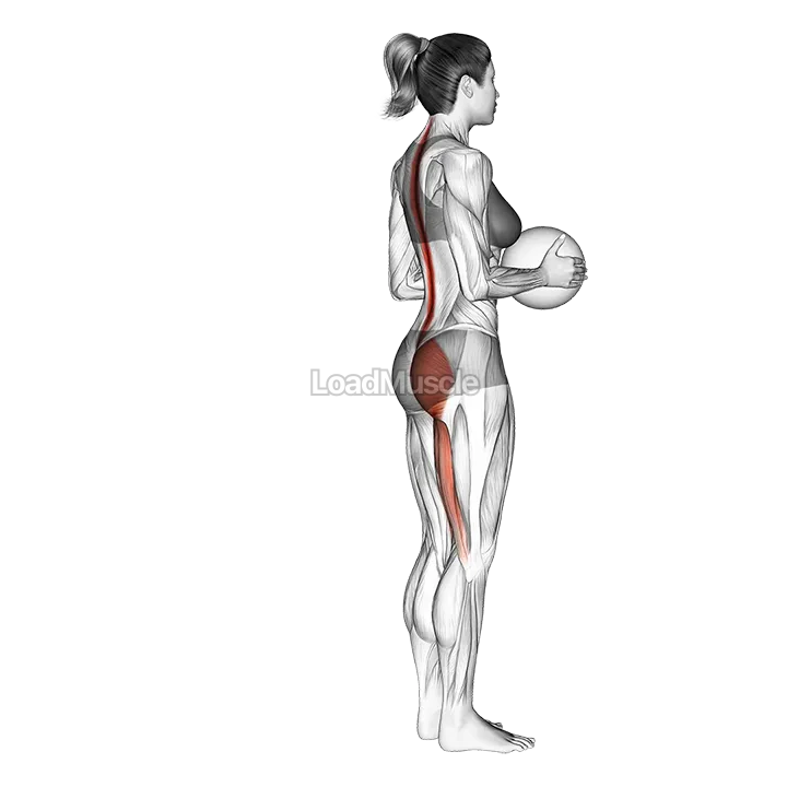 Medicine Ball Single Leg Deadlift demonstration