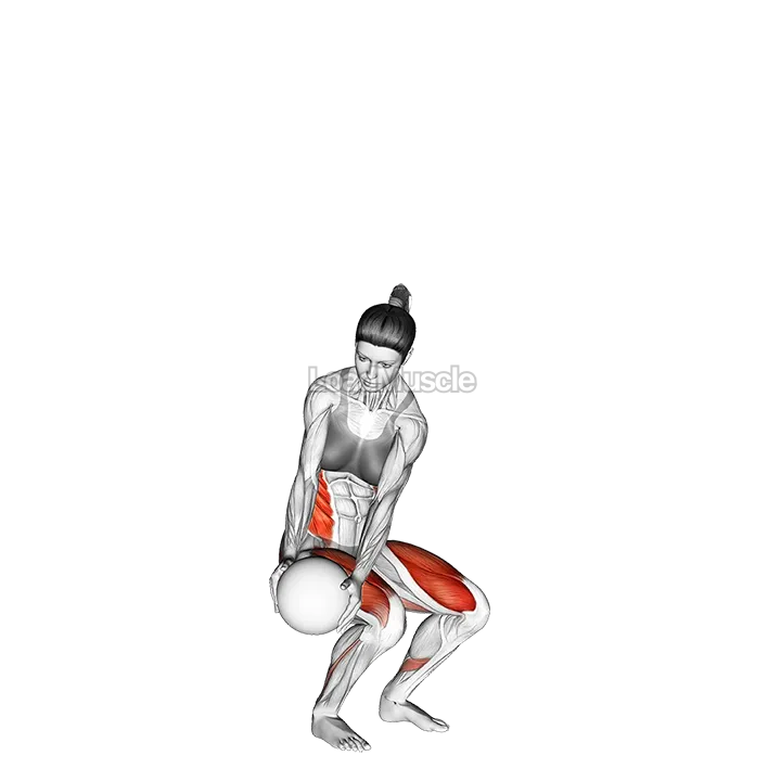 Medicine Ball Reverse Wood Chop Squat demonstration