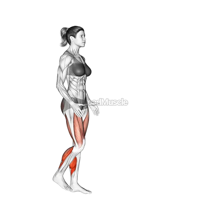 Forward Hops demonstration