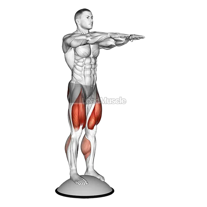 Squat On Bosu Ball demonstration