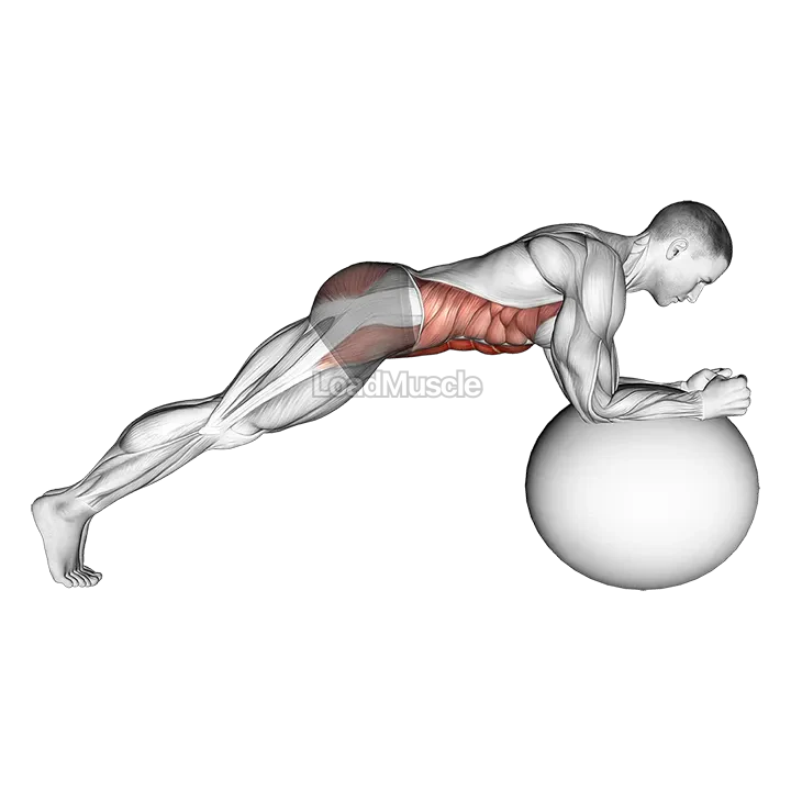 Stability Ball Front Plank demonstration