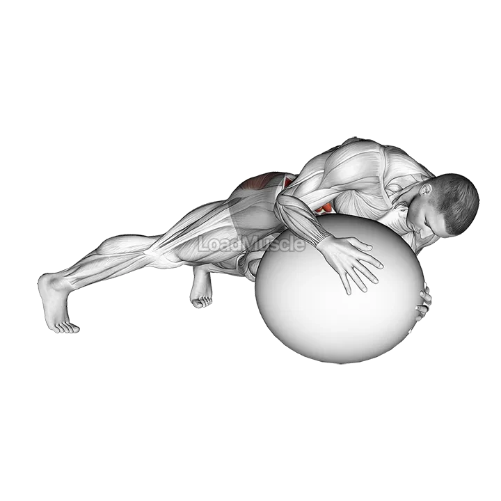 Prone Twist On Stability Ball demonstration