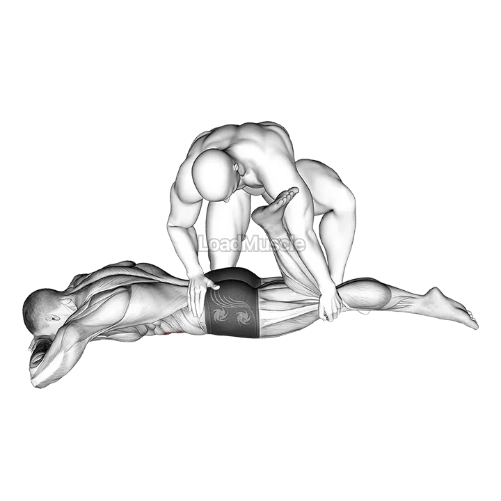 Assisted Prone Rectus Femoris Stretch demonstration