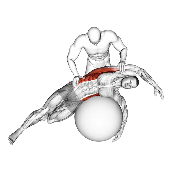 Assisted Oblique And Latissimus Dorsi Stretch On Stability Ball demonstration
