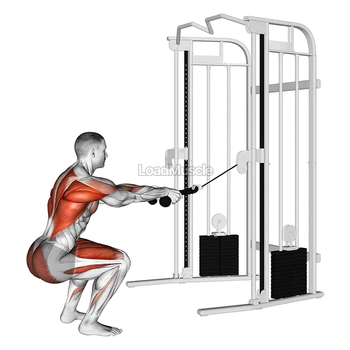 Cable Squat Row (with rope attachment) demonstration