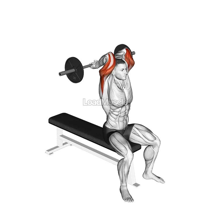 Barbell Seated Close grip Behind Neck Triceps Extension demonstration