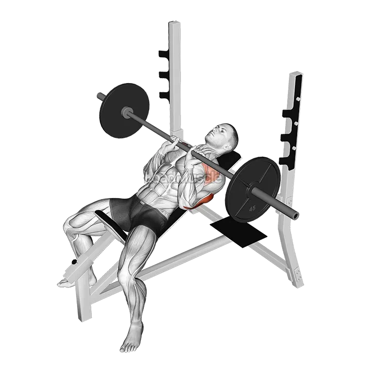 Barbell Incline Close Grip Bench Press demonstration