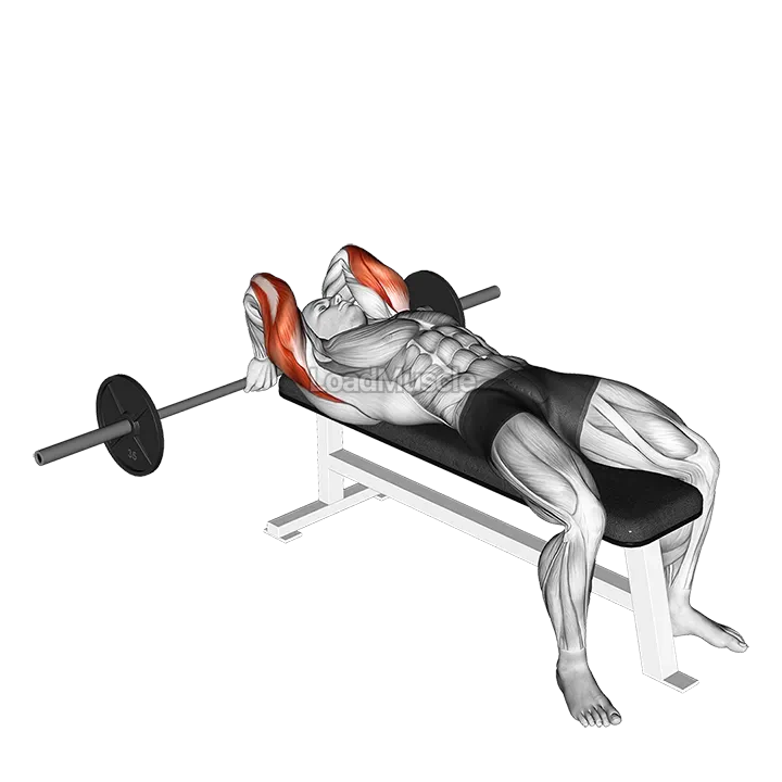 Barbell Lying Back of the Head Tricep Extension demonstration