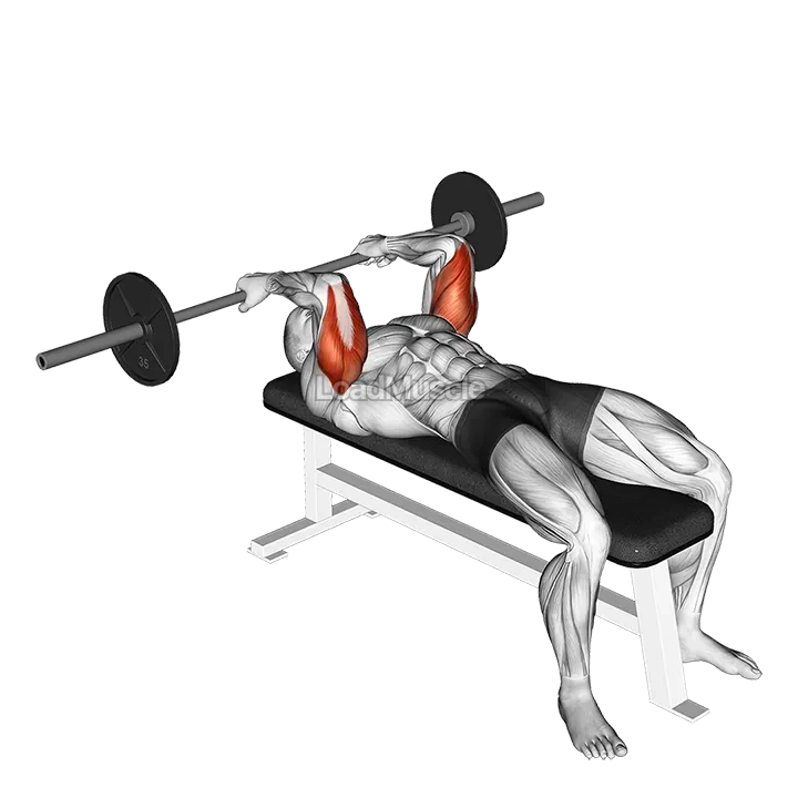 Barbell Reverse Grip Skullcrusher demonstration