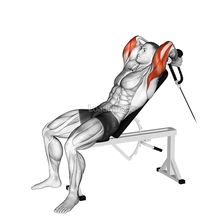 Cable Rope Incline Tricep Extension demonstration