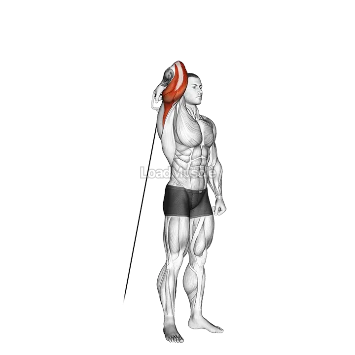 Cable Standing Reverse Grip One Arm Overhead Tricep Extension demonstration