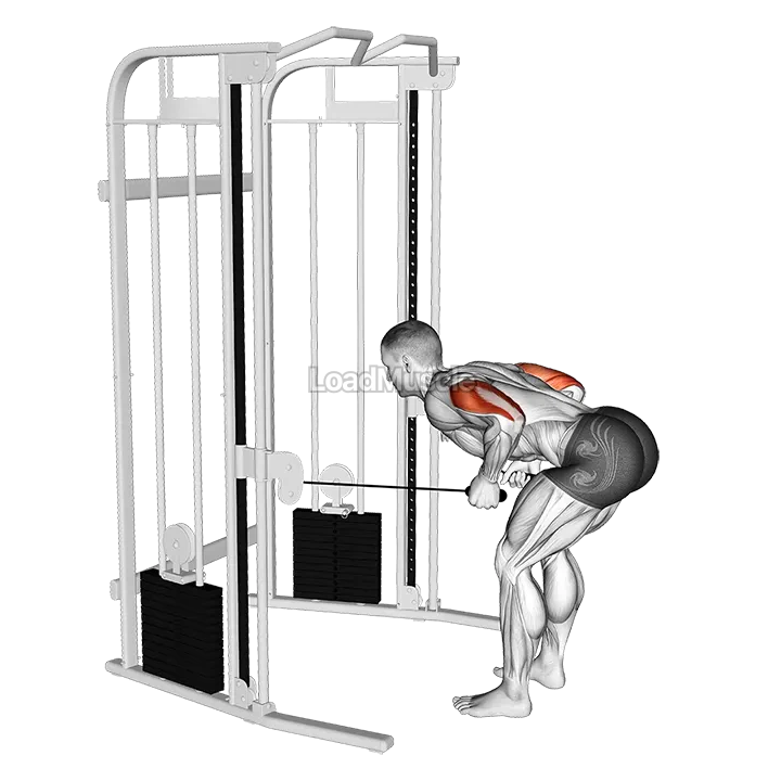 Cable Two Arm Tricep Kickback demonstration