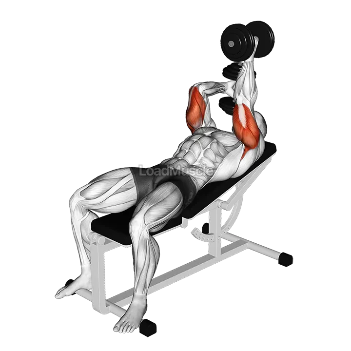 Dumbbell Lying Alternate Extension demonstration