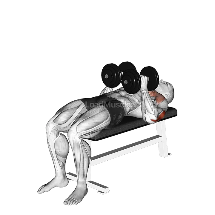 Dumbbell Close Grip Press demonstration