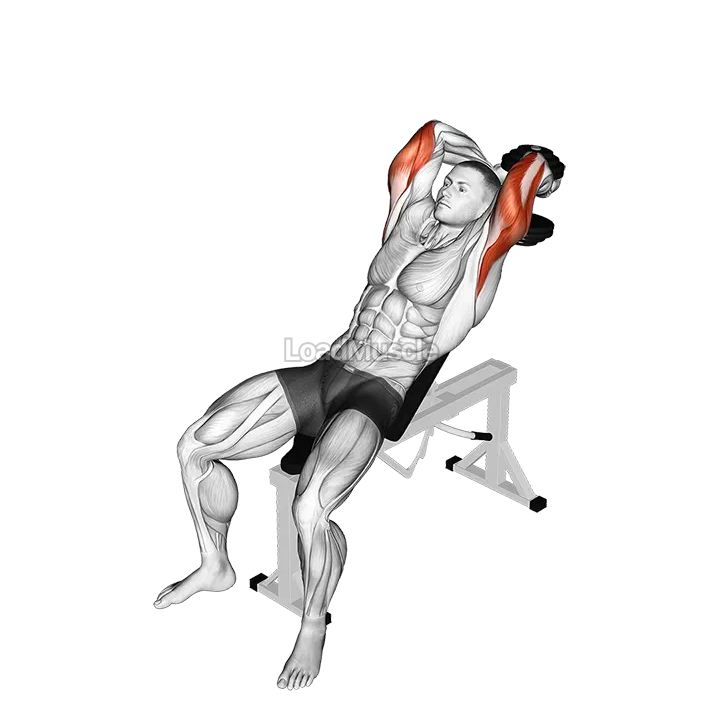 Dumbbell Incline Two Arm Extension demonstration