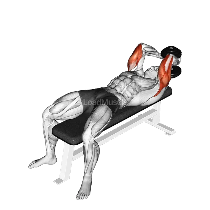 Dumbbell Lying Single Extension demonstration