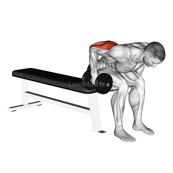 Dumbbell Seated Bent Over Triceps Extension demonstration