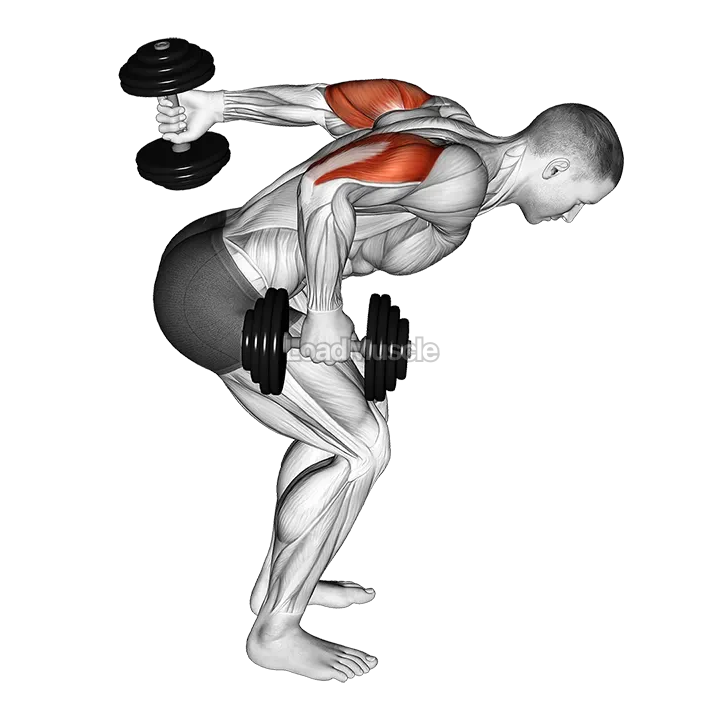 Dumbbell Standing Alternating Tricep Kickback demonstration
