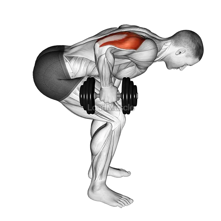 Dumbbell Standing Bent Over One Arm Triceps Extension demonstration