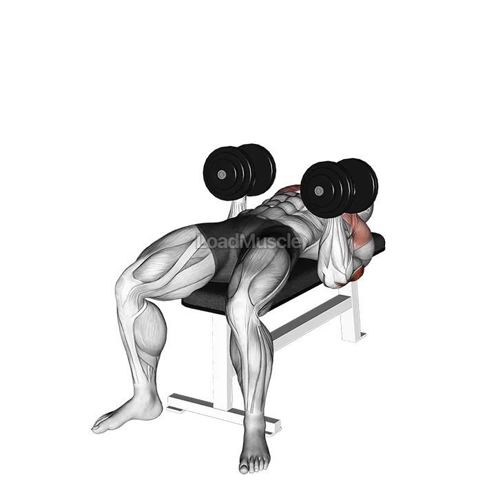 Dumbbell Twisting Bench Press demonstration