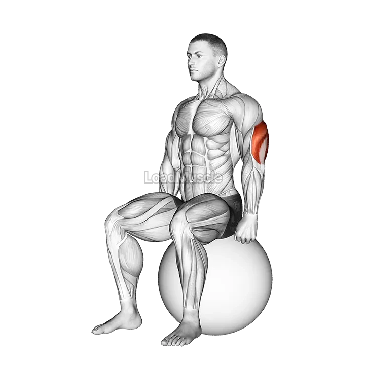 Exercise Ball Seated Triceps Stretch demonstration
