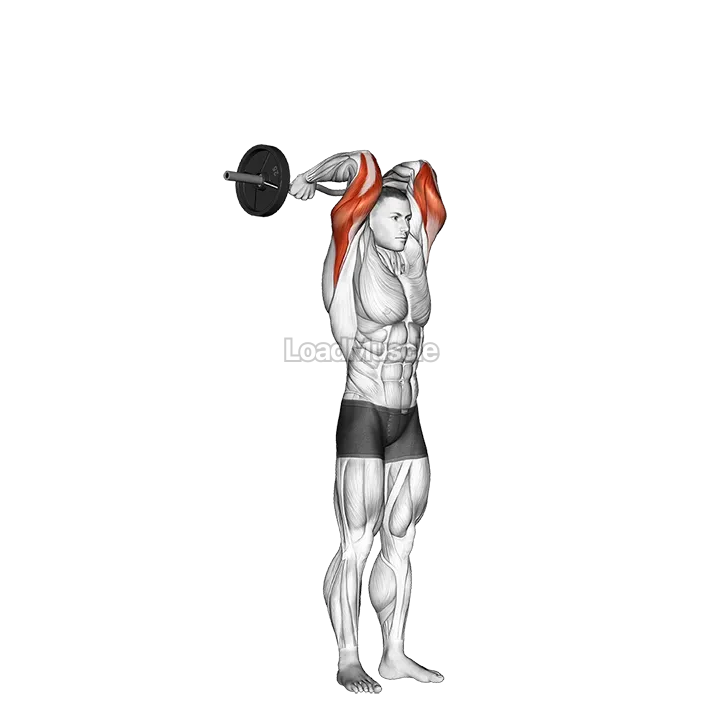 EZ Bar Standing French Press demonstration