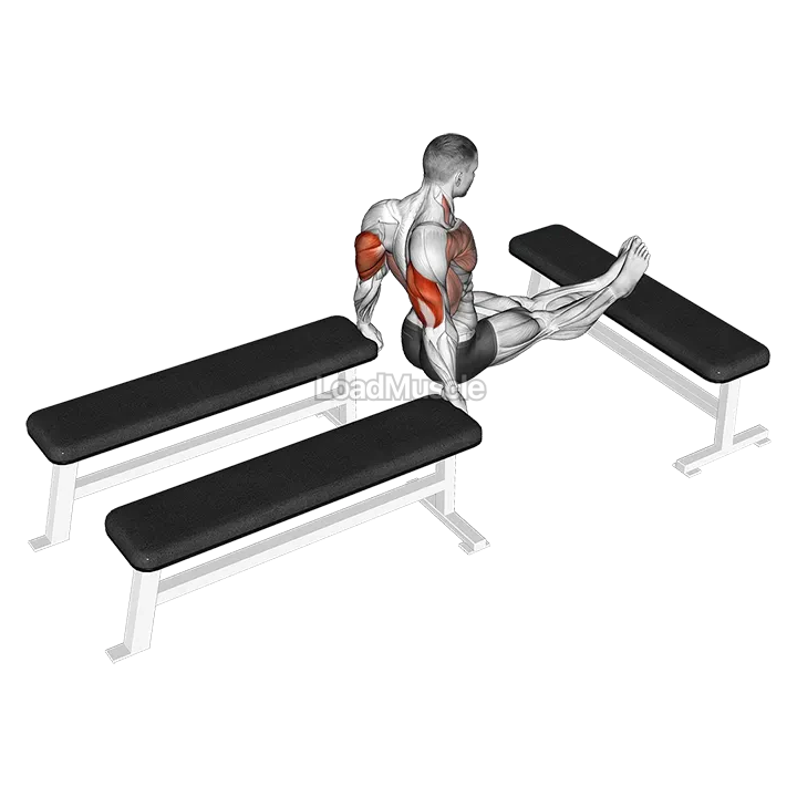 Three Bench Dip demonstration