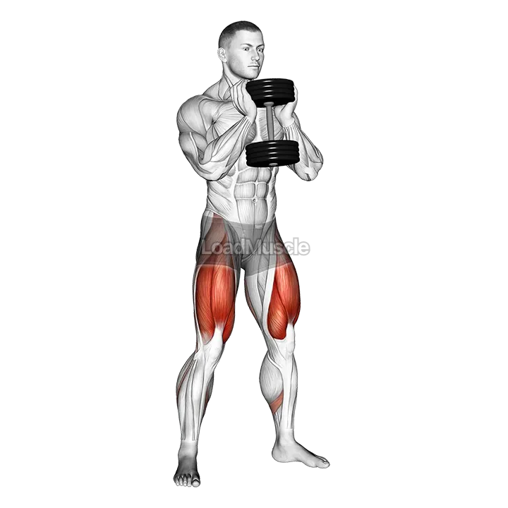 Dumbbell Goblet Squat demonstration