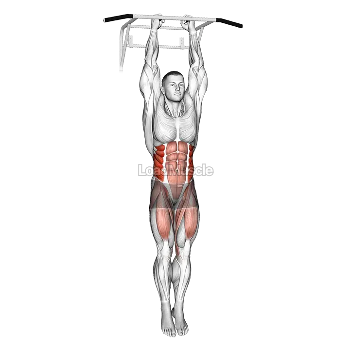 Hanging Oblique Knee Raise demonstration