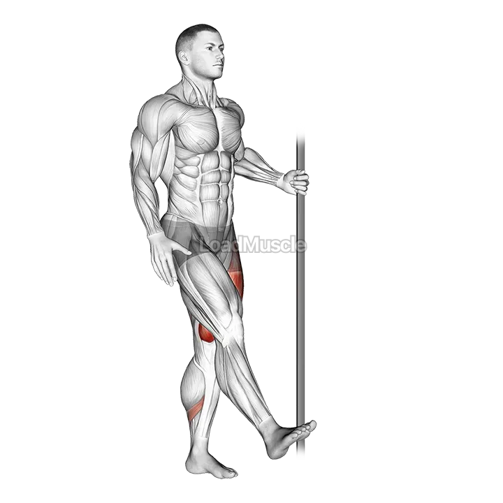 Single Leg Squat with Support (pistol) demonstration