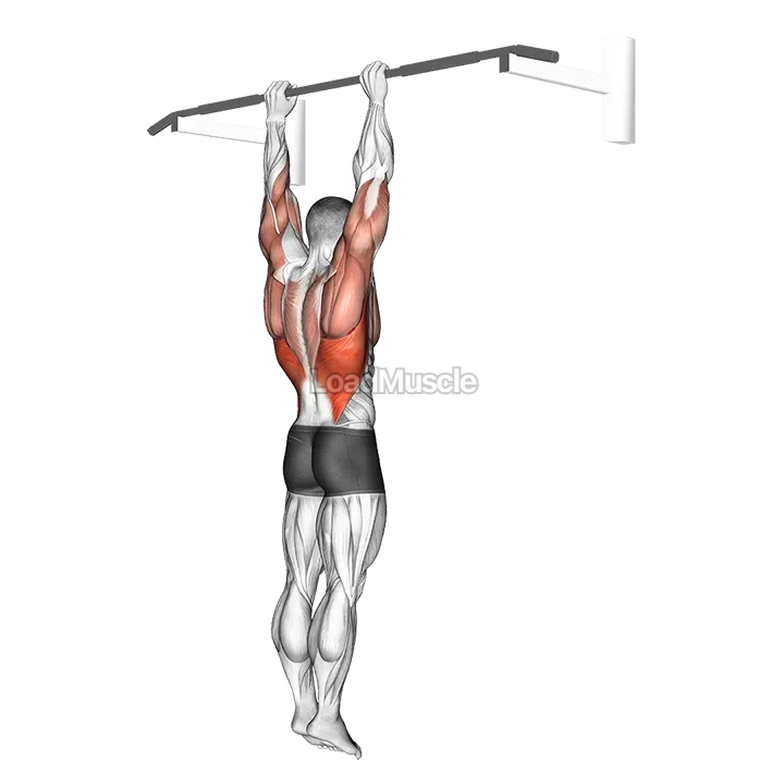 Shoulder Grip Pull-up demonstration
