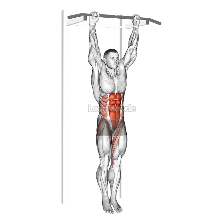 Hanging Leg Hip Raise demonstration