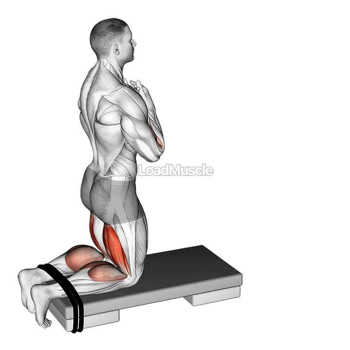 Self assisted Inverse Leg Curl demonstration