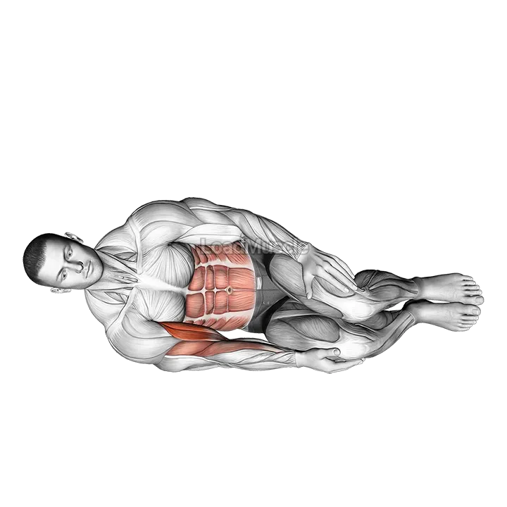 Bodyweight Side Lying Biceps Curl demonstration