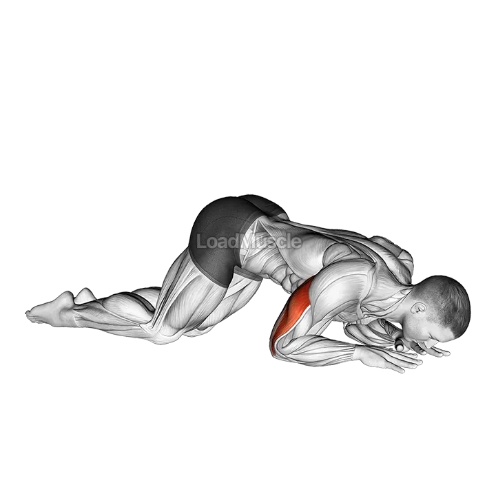 Bodyweight Kneeling Triceps Extension demonstration