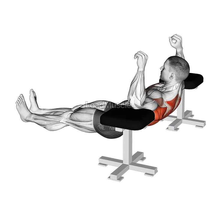 Elbow Lift - Reverse Push-Up demonstration