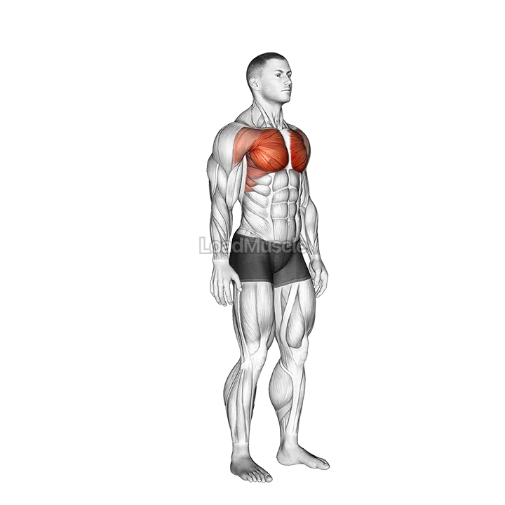 Above Head Chest Stretch demonstration