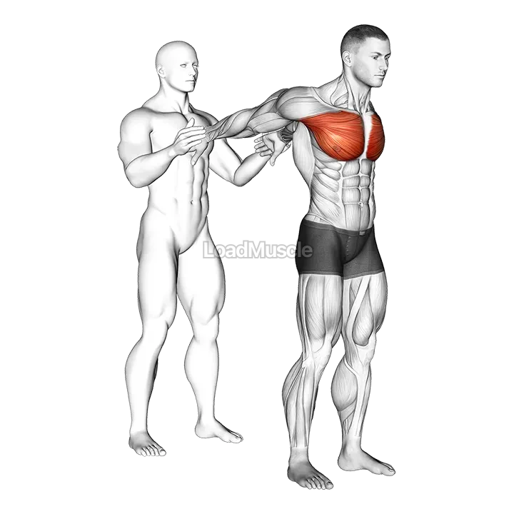 Assisted Standing Chest Stretch demonstration