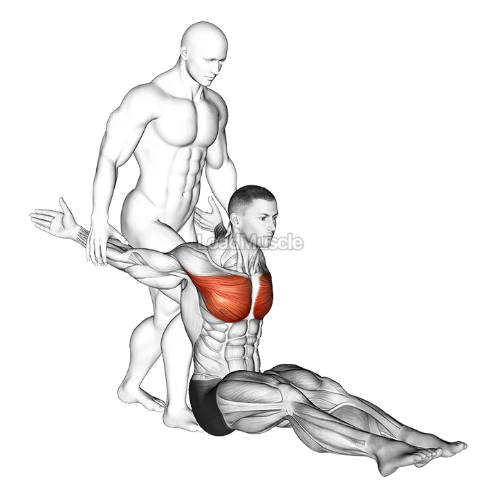 Assisted Seated Chest Stretch demonstration