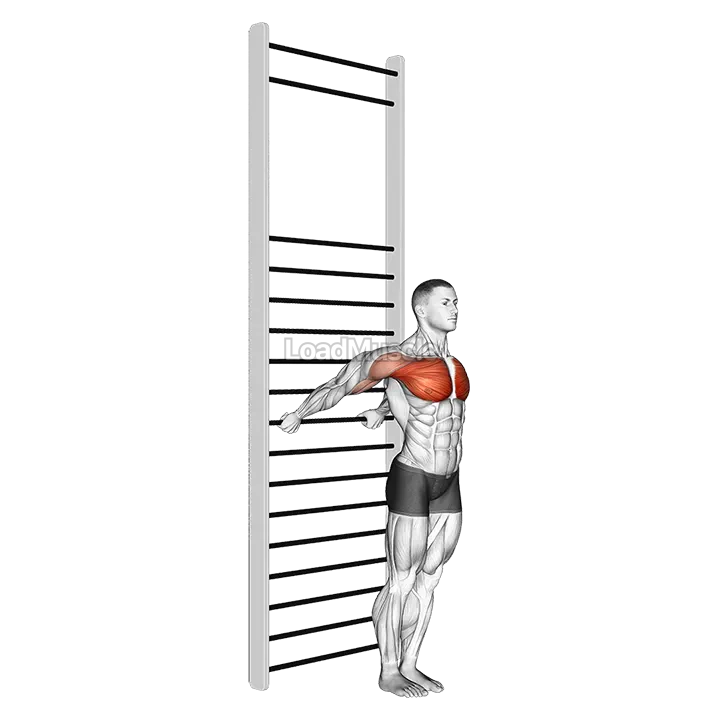 Standing Chest Stretch (with Training Wall Bars) demonstration