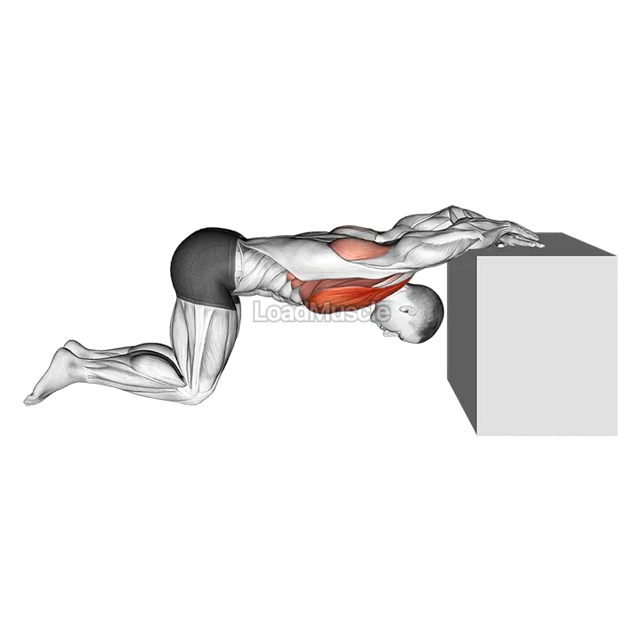 Kneeling Chest Stretch demonstration